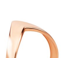 Золотое кольцо (10/0011/00/01/01): купить